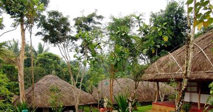 Hotels With Suitable For Children In Thekkady 1350 Night Thekkady is a tourist paradise with many a sight to see, thekkady.com offers customized thekkady tour packages, hotels and resorts booking, thekkady backwater tourism. travelguru