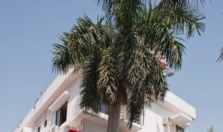 Hotel Dolphin Digha Flat 50 Off Book Reviews Room Hotel Dolphin
