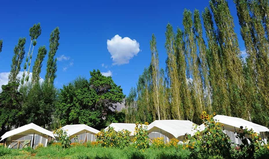 Mystique Meadows Swiss Cottages Nubra Valley Book This Hotel At