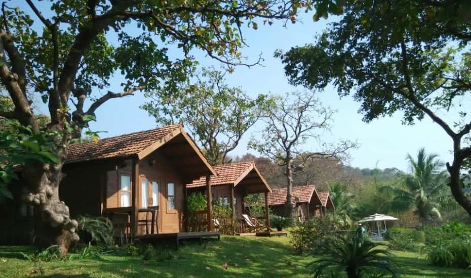 Stone Water Eco Resort Goa Book This Hotel At The Best Price