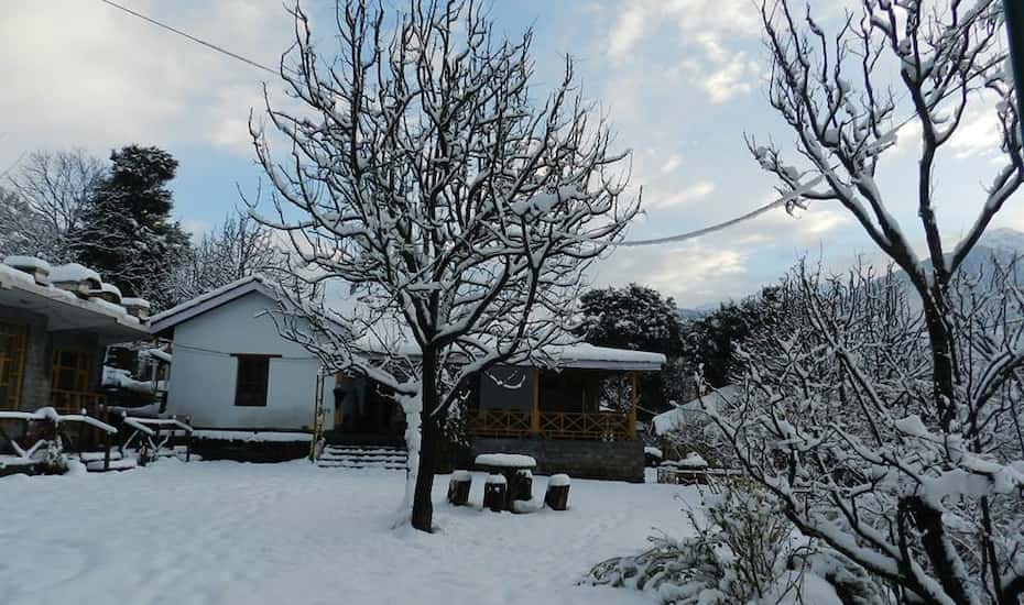 Tree House Cottages Manali Book This Hotel At The Best Price