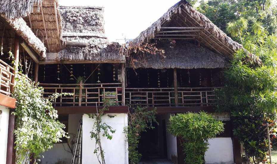Wild Orchid Havelock Book This Hotel At The Best Price Only On