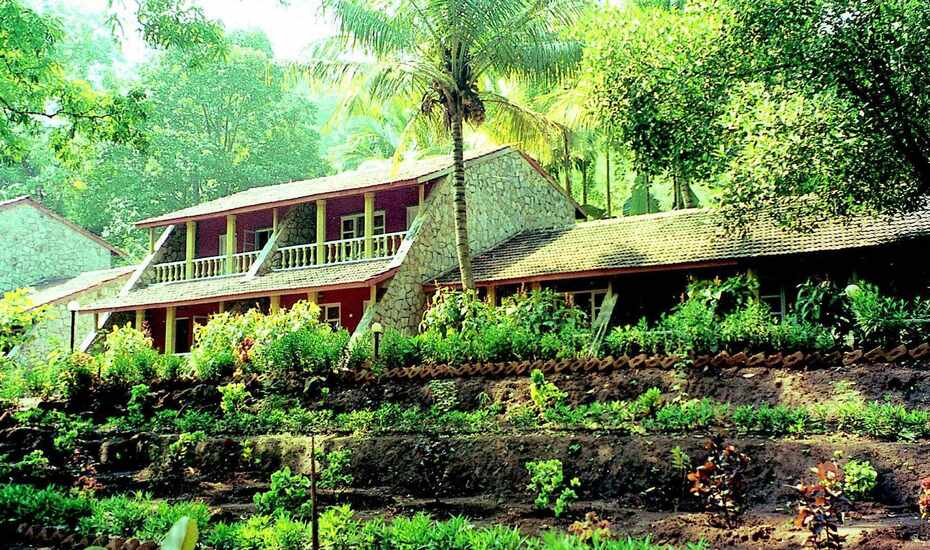 Bison River Resort Hotel Dandeli Book Room 3825 Night 70 Off Bison River Resort