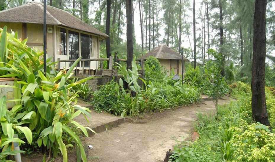 Exotica Beach Resort Dive Agar Dive Agar Price Reviews Photos Address Kayak searches hundreds of travel sites to help you find and book the resort that suits you best. exotica beach resort dive agar dive