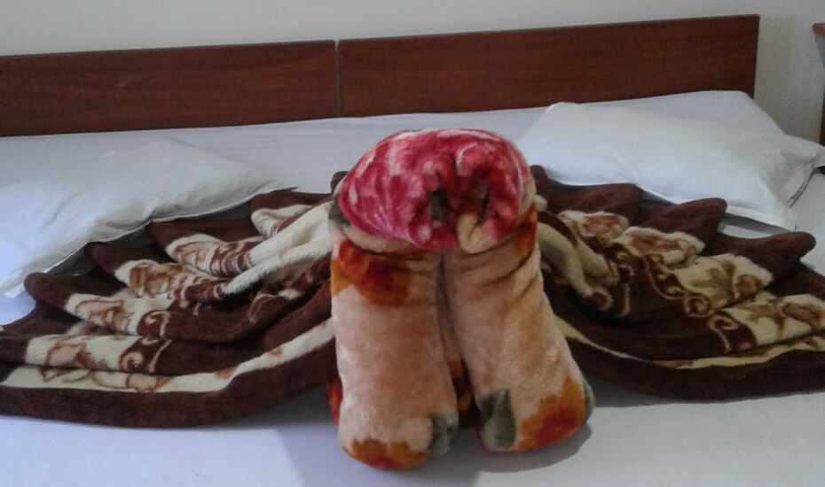 Hotel Pine Wood Gangtok Price Reviews Photos Address