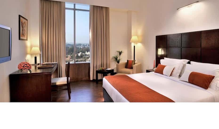 Comfort Inn Tulip Heights Bhatinda Price Reviews Photos Address Oyo 30127 hotel sabina international. comfort inn tulip heights bhatinda