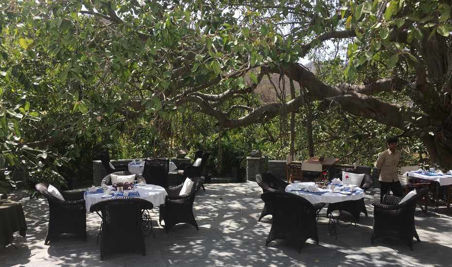 Mountbatten Lodge Ranakpur Price Reviews Photos Address