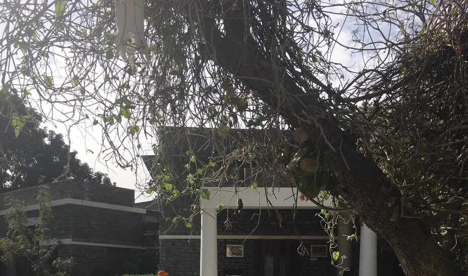 Mountbatten Lodge Ranakpur Price Reviews Photos Address