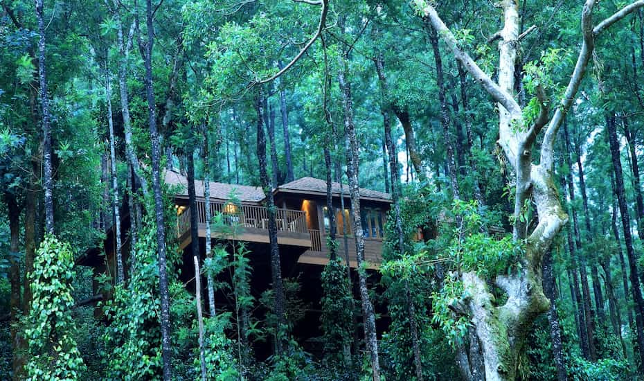 The Tamara Coorg Coorg Price, Reviews, Photos & Address