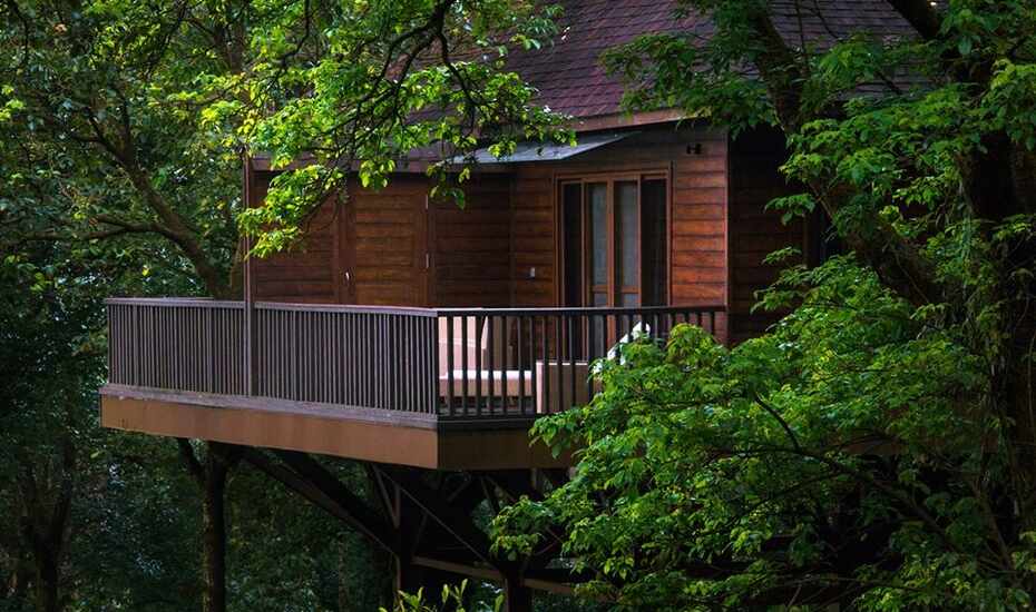 The Tamara Coorg Coorg Book This Hotel At The Best Price Only