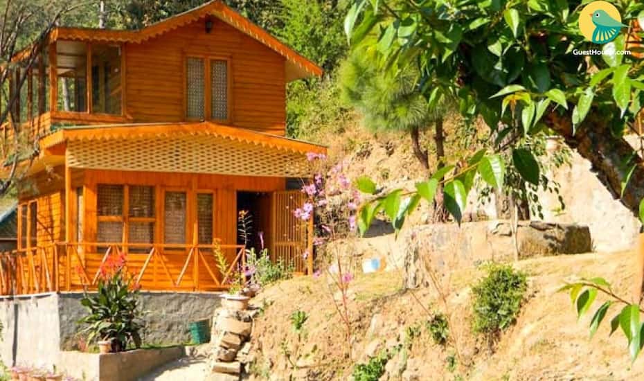 Duplex Room In A Pinewood Cottage Kasauli Price Reviews Photos Address