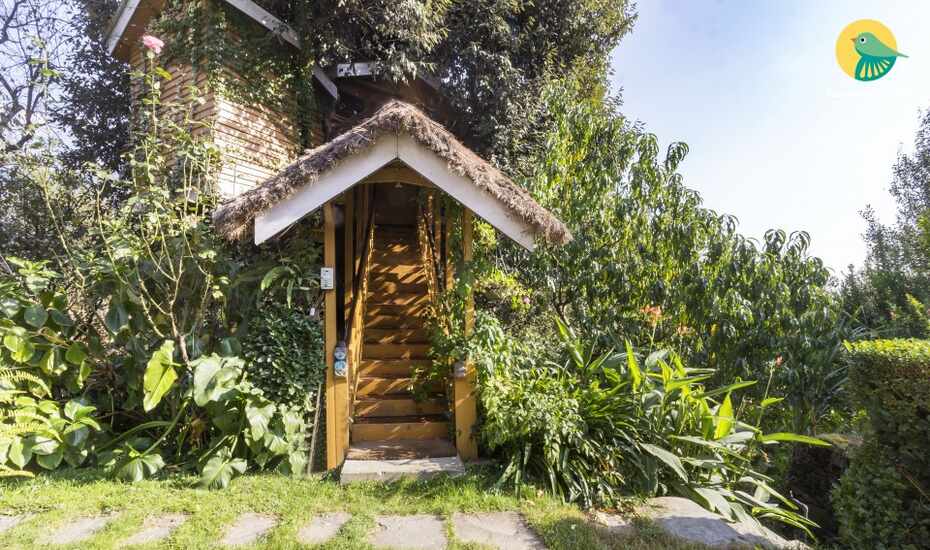 1 Br Treehouse For Three Manali Book This Hotel At The Best