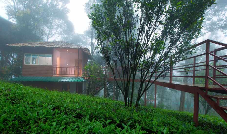 Dream Catcher Plantation Resort Munnar Book This Hotel At The