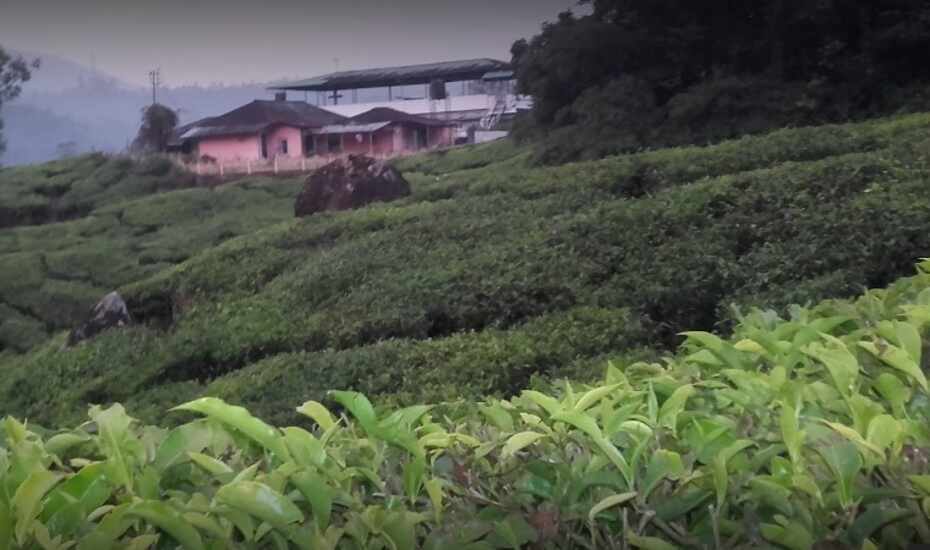Zina Cottage Munnar Book This Hotel At The Best Price Only On