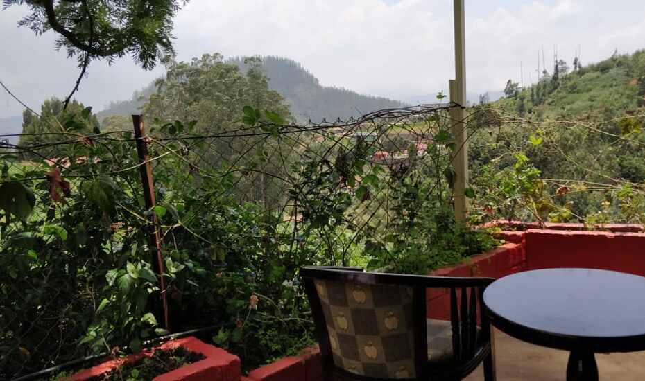 22+ Tiger Hills Udaipur Pictures