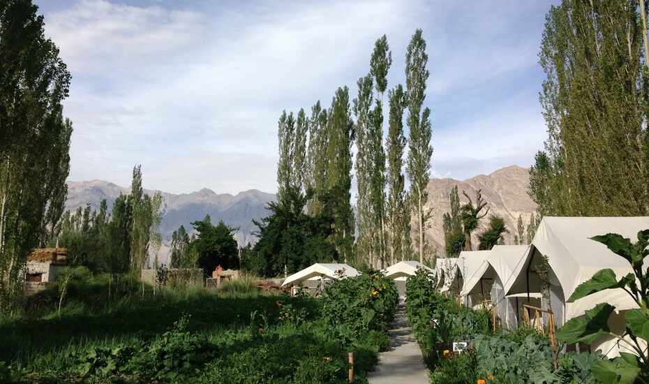 Mystique Meadows Swiss Cottages Nubra Valley Book This Hotel At