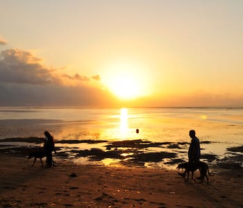 Sanur - One of the Top Attractions in Bali, Indonesia - Yatra.com