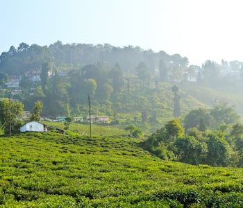 darjeeling best-time-to-visit