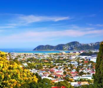Wellington visual data 6