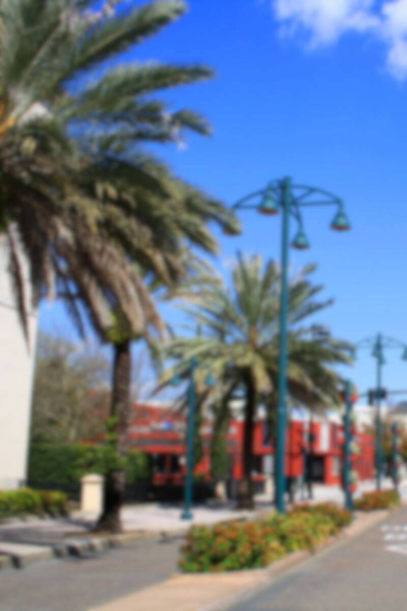 Shopping In Orlando Best Shopping Places In Orlando Usa Yatra Com