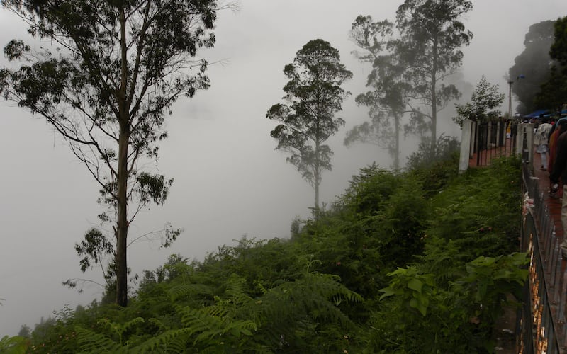 Kodaikanal Tamil Nadu2