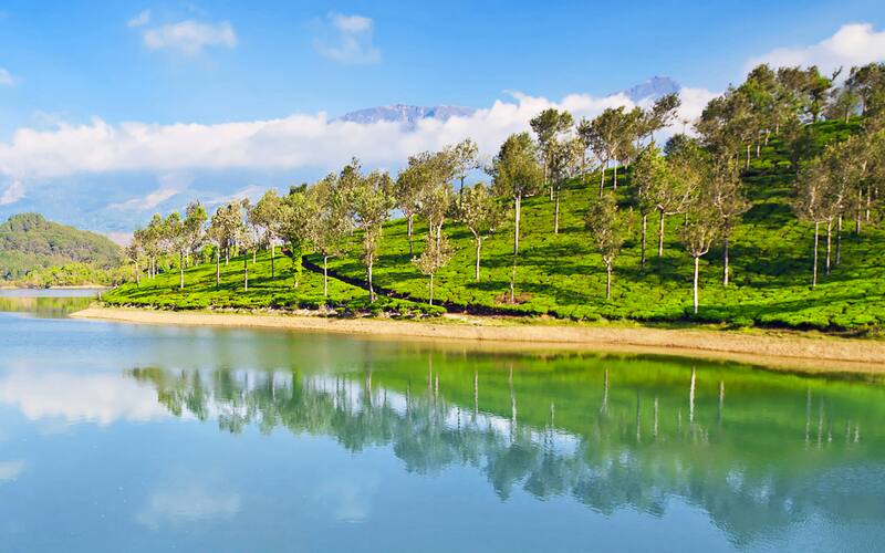 3 Enchanting Tea Gardens In Munnar You Should Visit