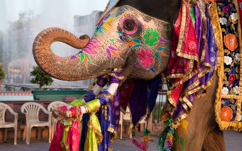 5 Festivals You Must Experience In Udaipur!