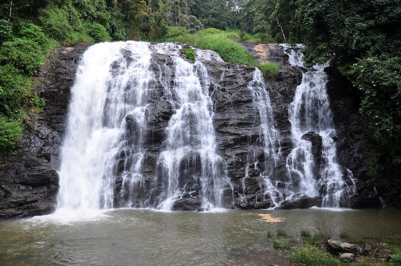 Agumbe Rainforest Research Station - Wikipedia