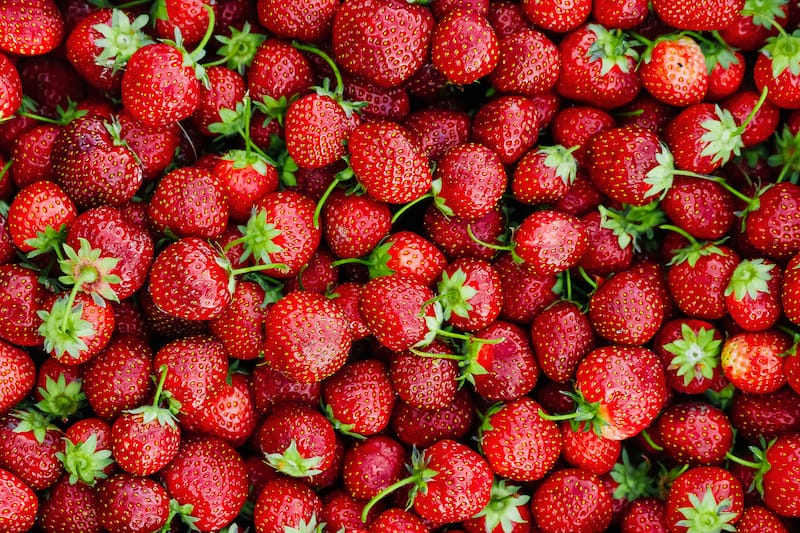 Visit Panchgani And Be A Part Of The Strawberry Festival Strawberry Festival 2022 Picking Strawberries