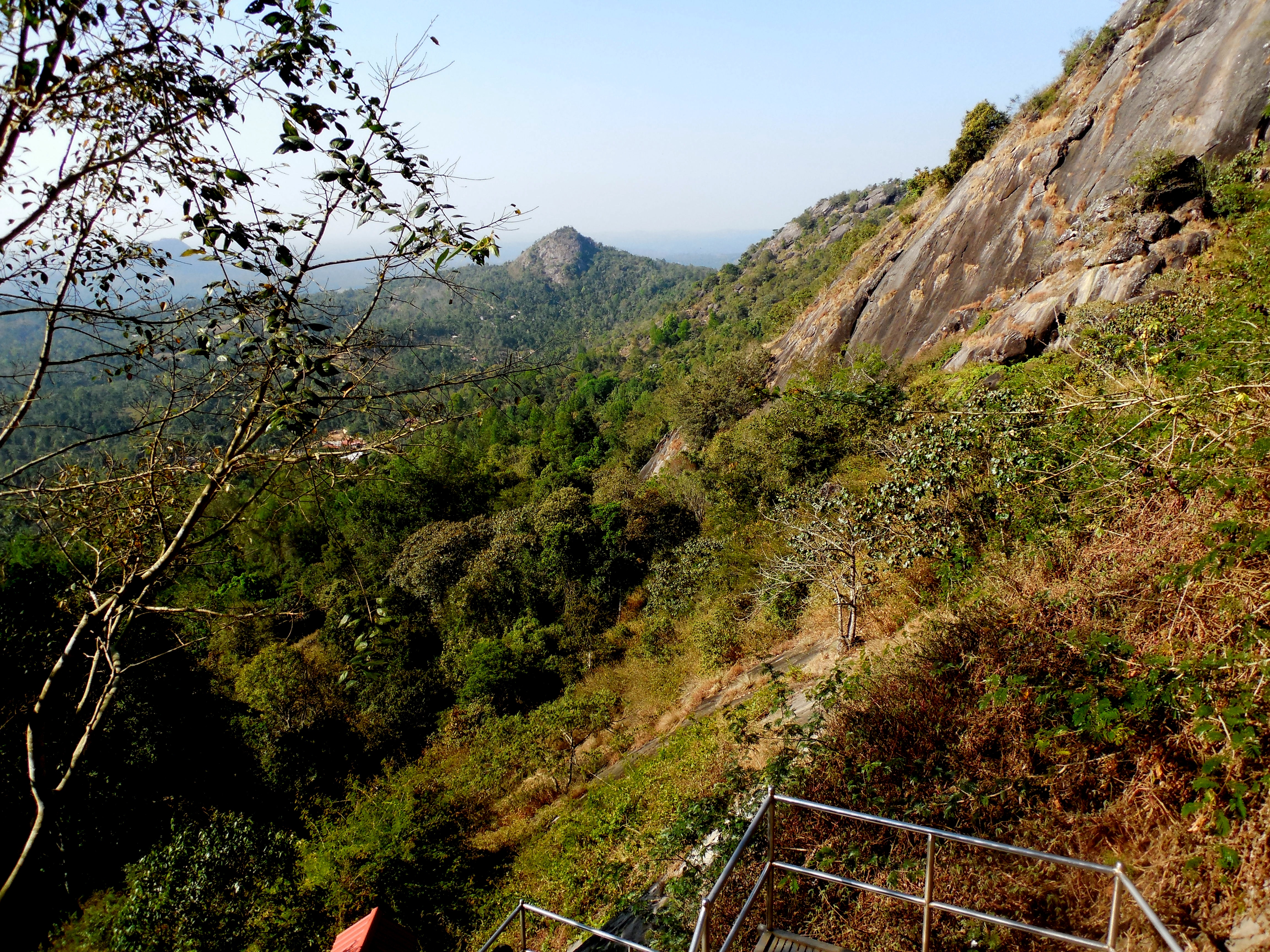 Wayanad Holiday Packages