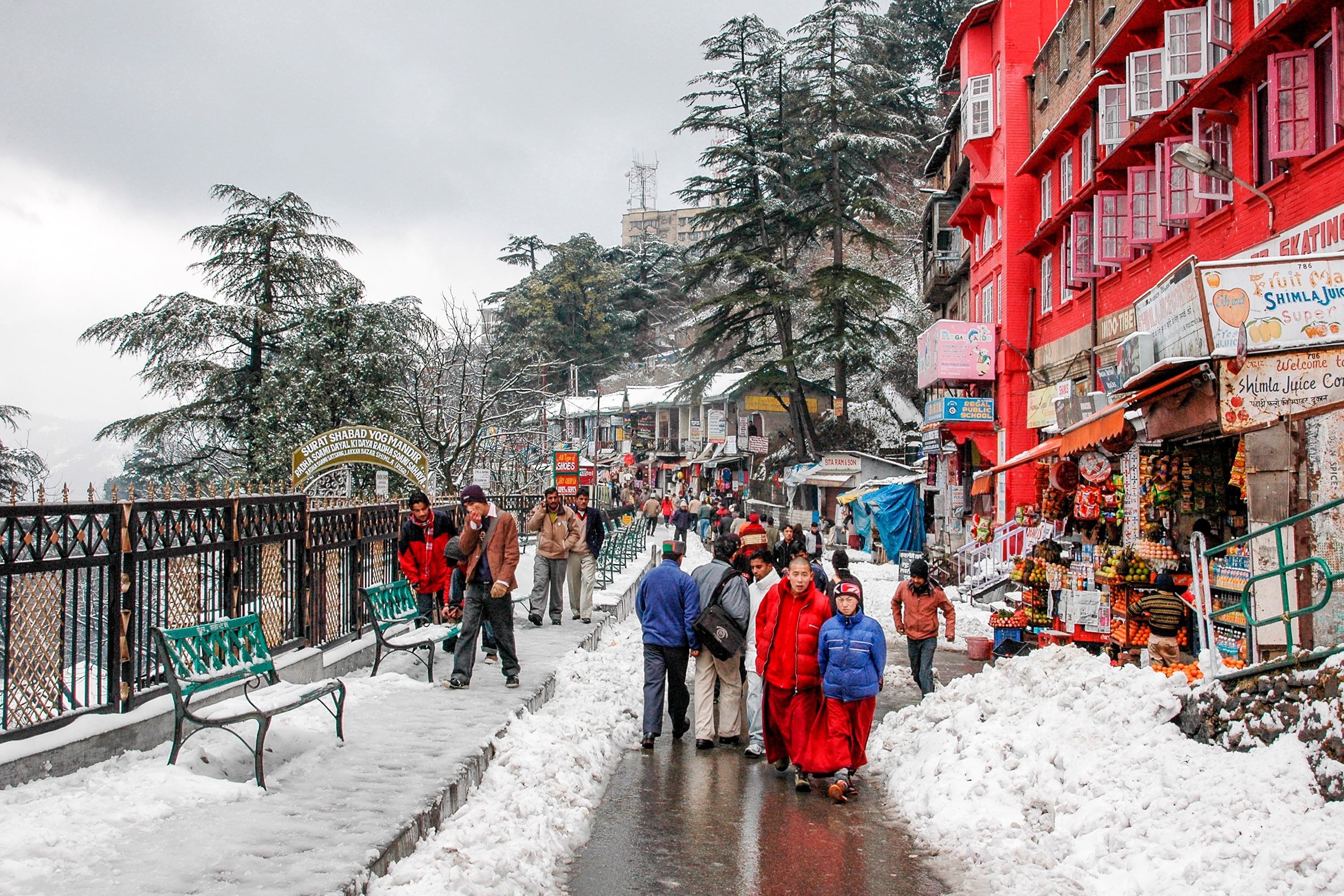 all india tour and travels shimla