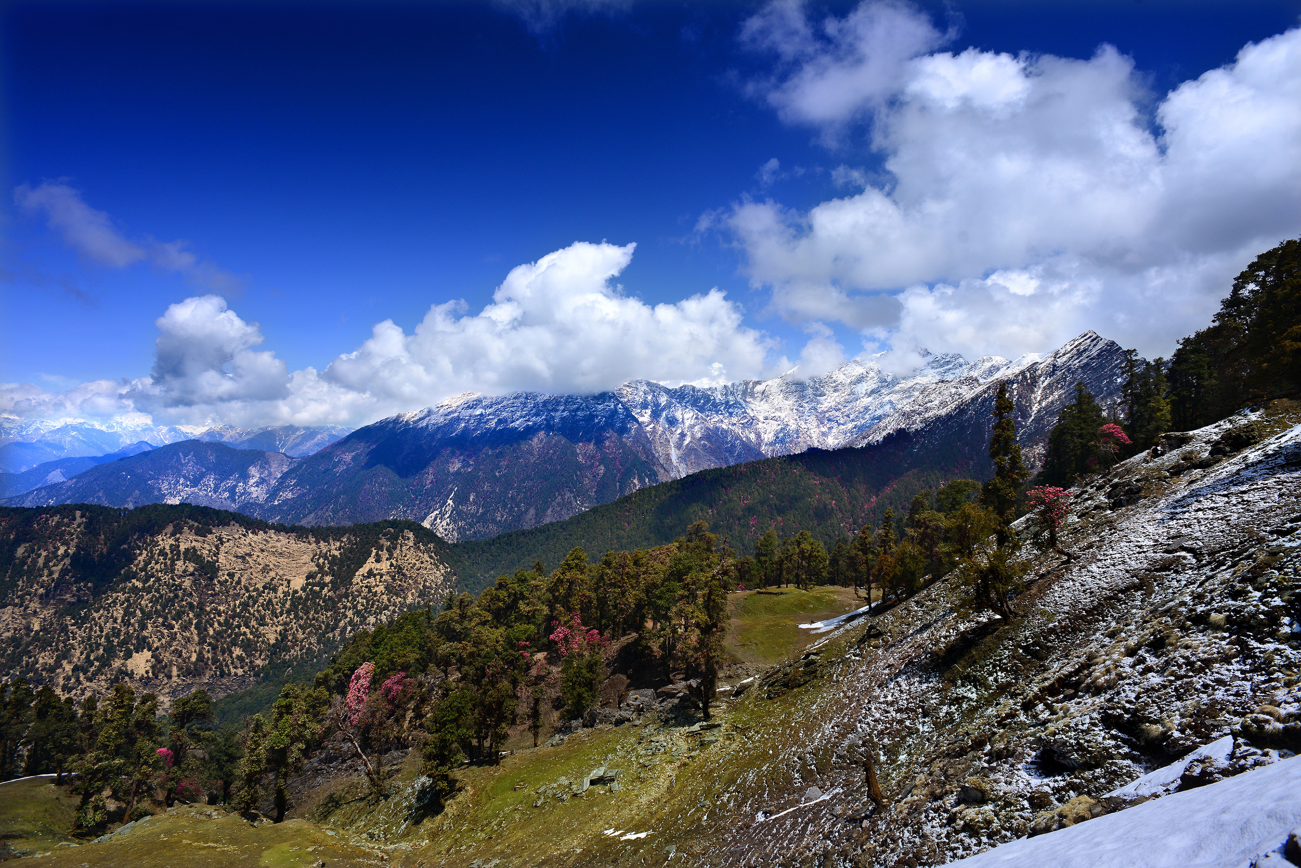 Chopta Holiday Packages