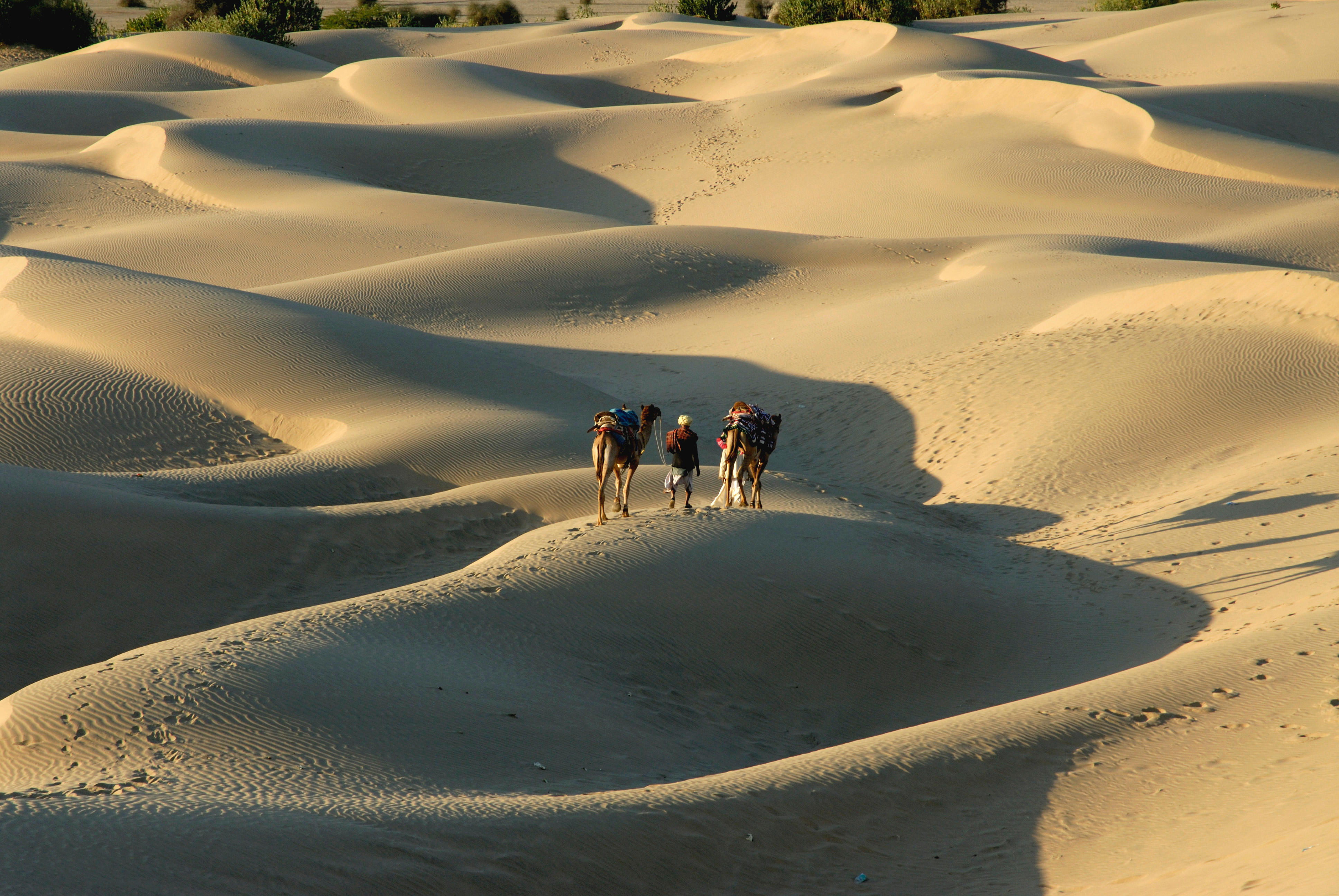 Sam Sand Dunes - One of the Top Attractions in Jaisalmer, India - Yatra.com