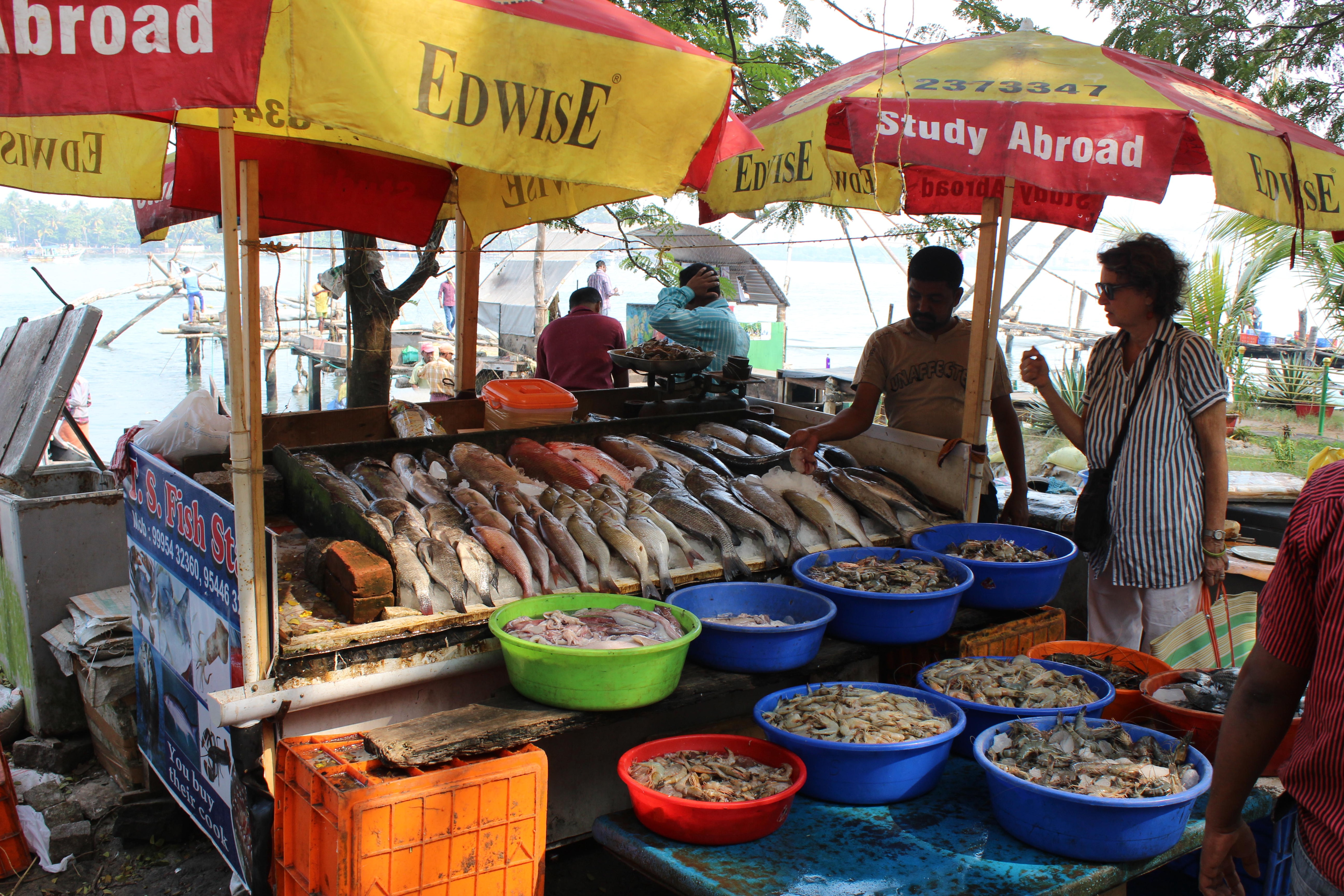 Fort Kochi Pattalam Market in Kochi, Complete Shopping Guide at Fort