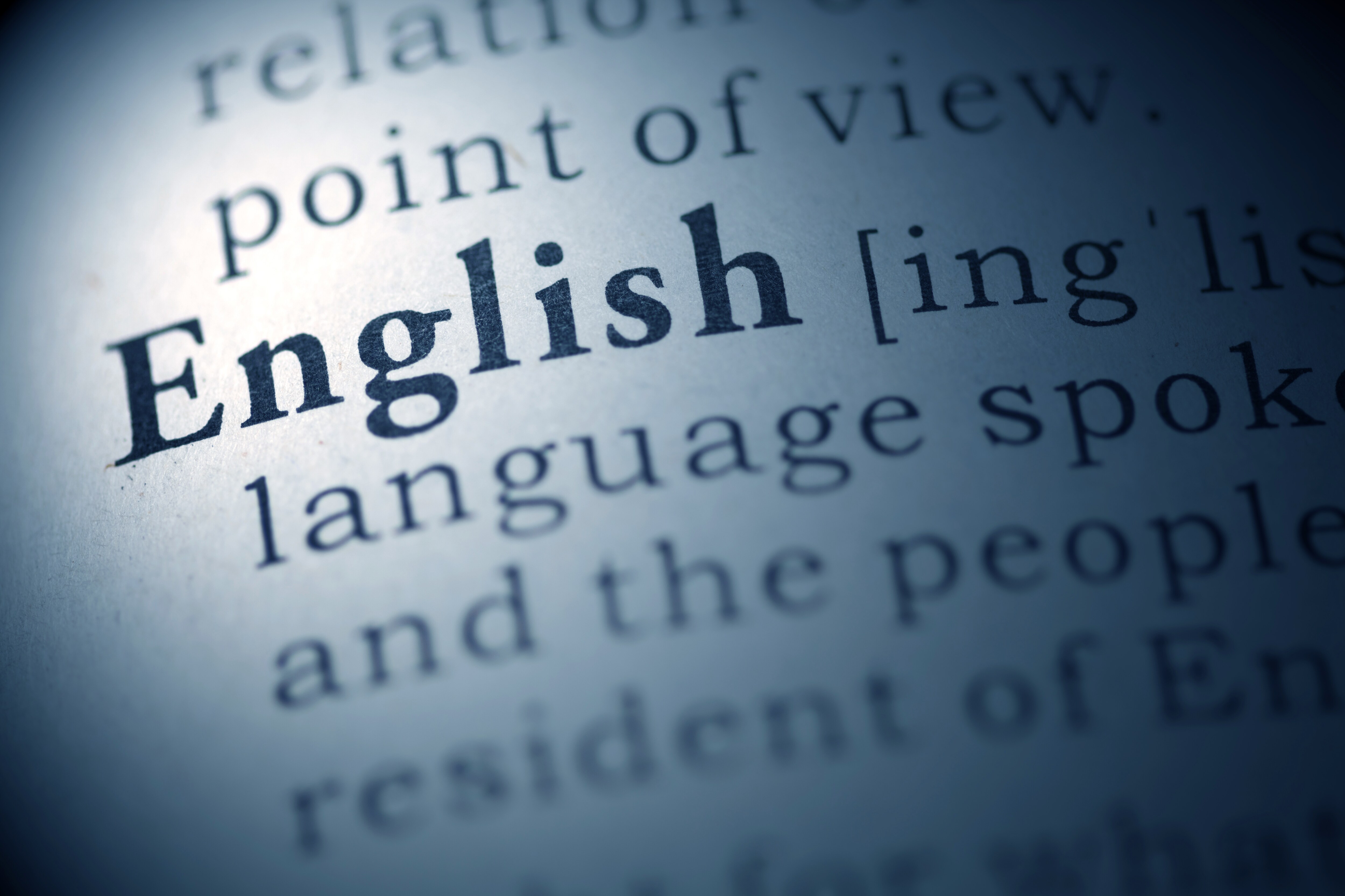 write an essay on the development of english language