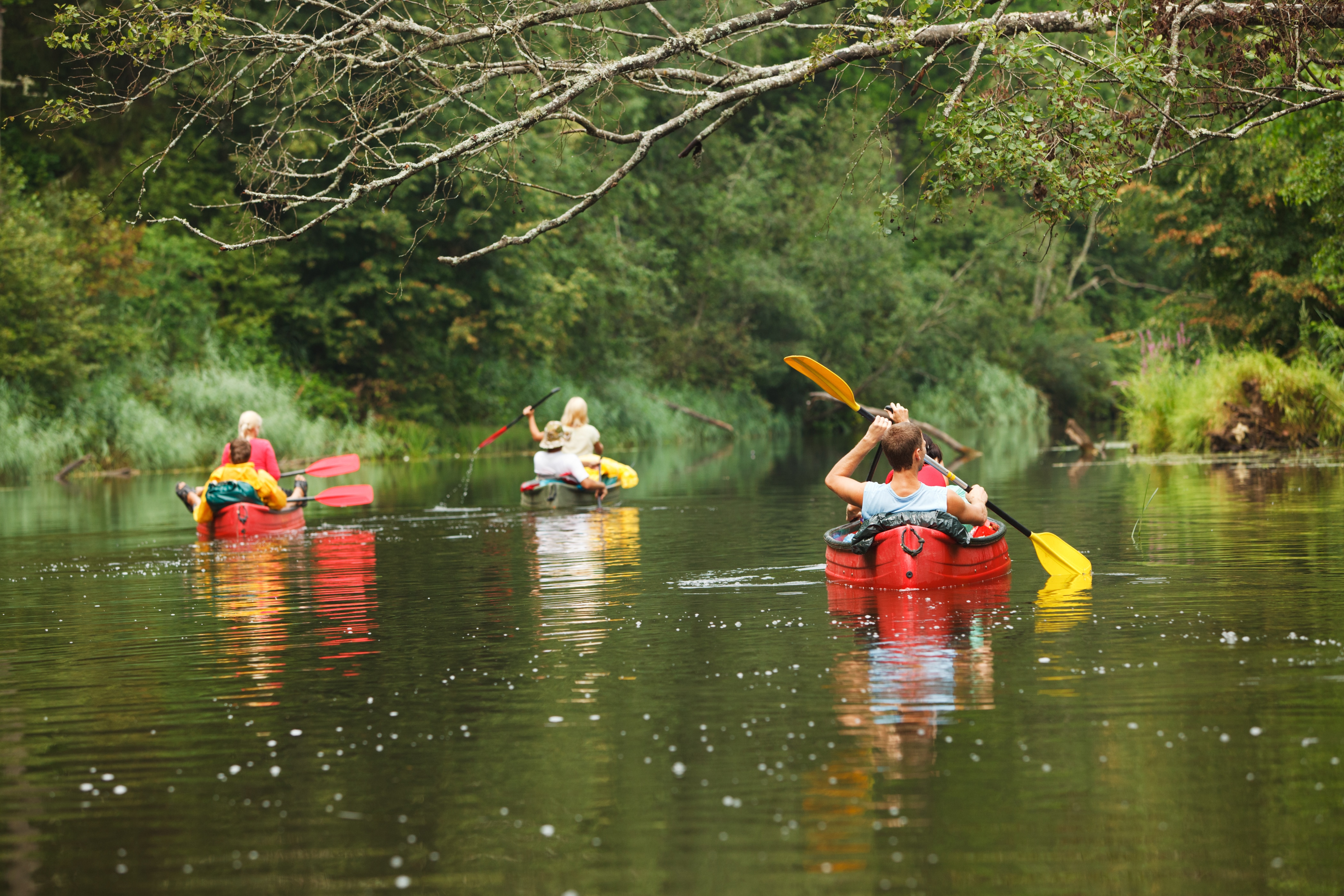 Boating At Honnamana Kere Lake in Coorg - Every Detail You Need to Know ...