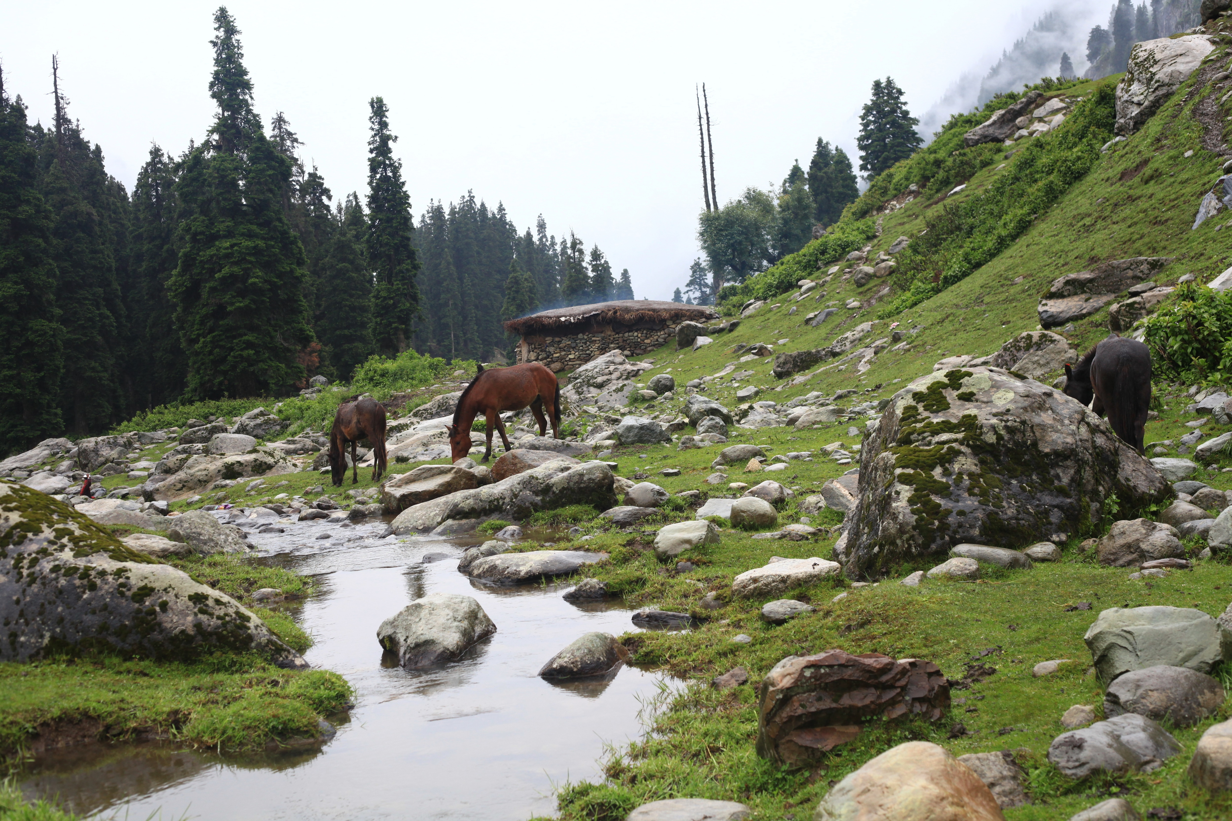 Jammu and kashmir Holiday Packages