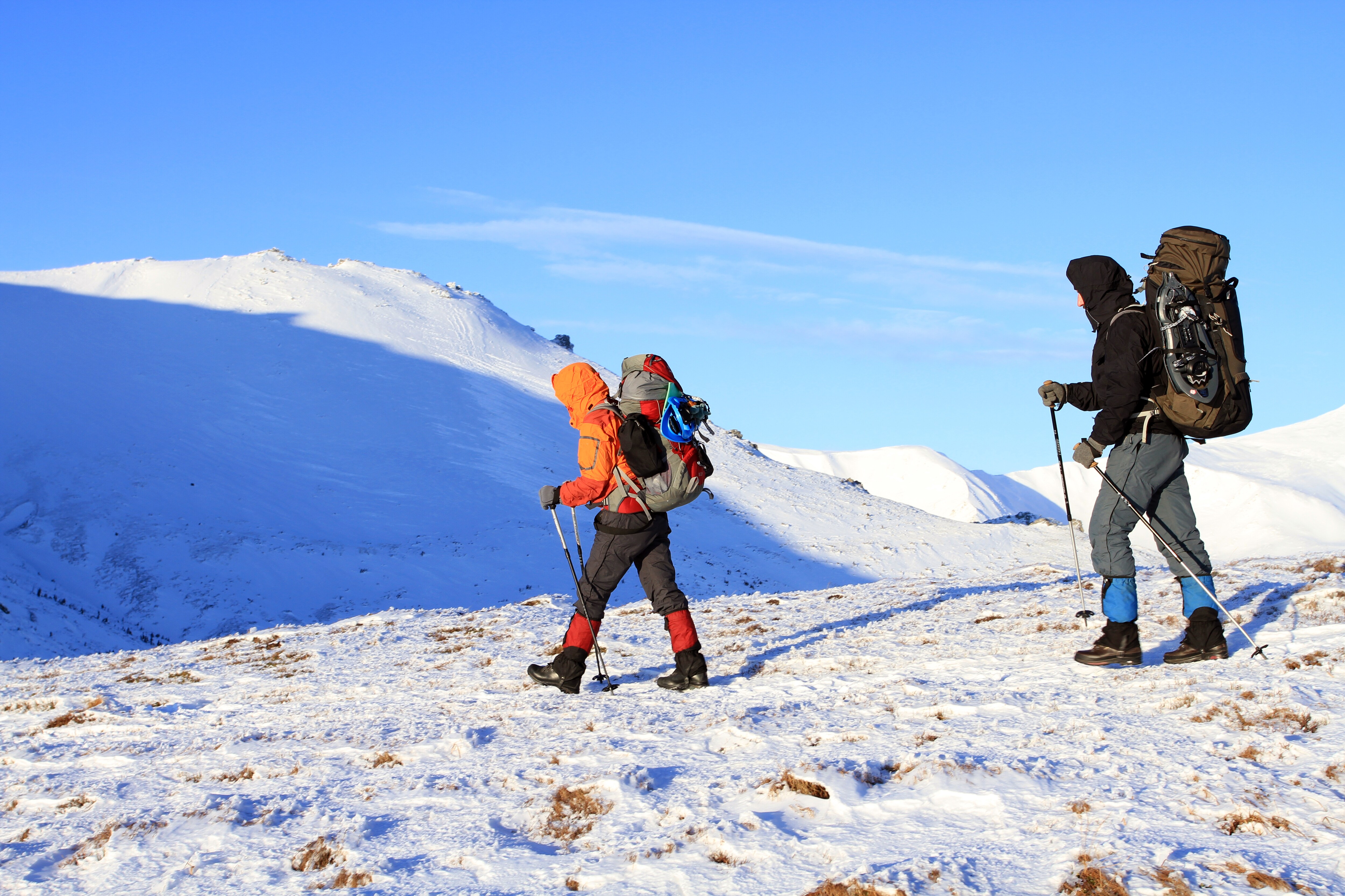 Snow Shoe And Sledding in Interlaken - Every Detail You Need to Know ...