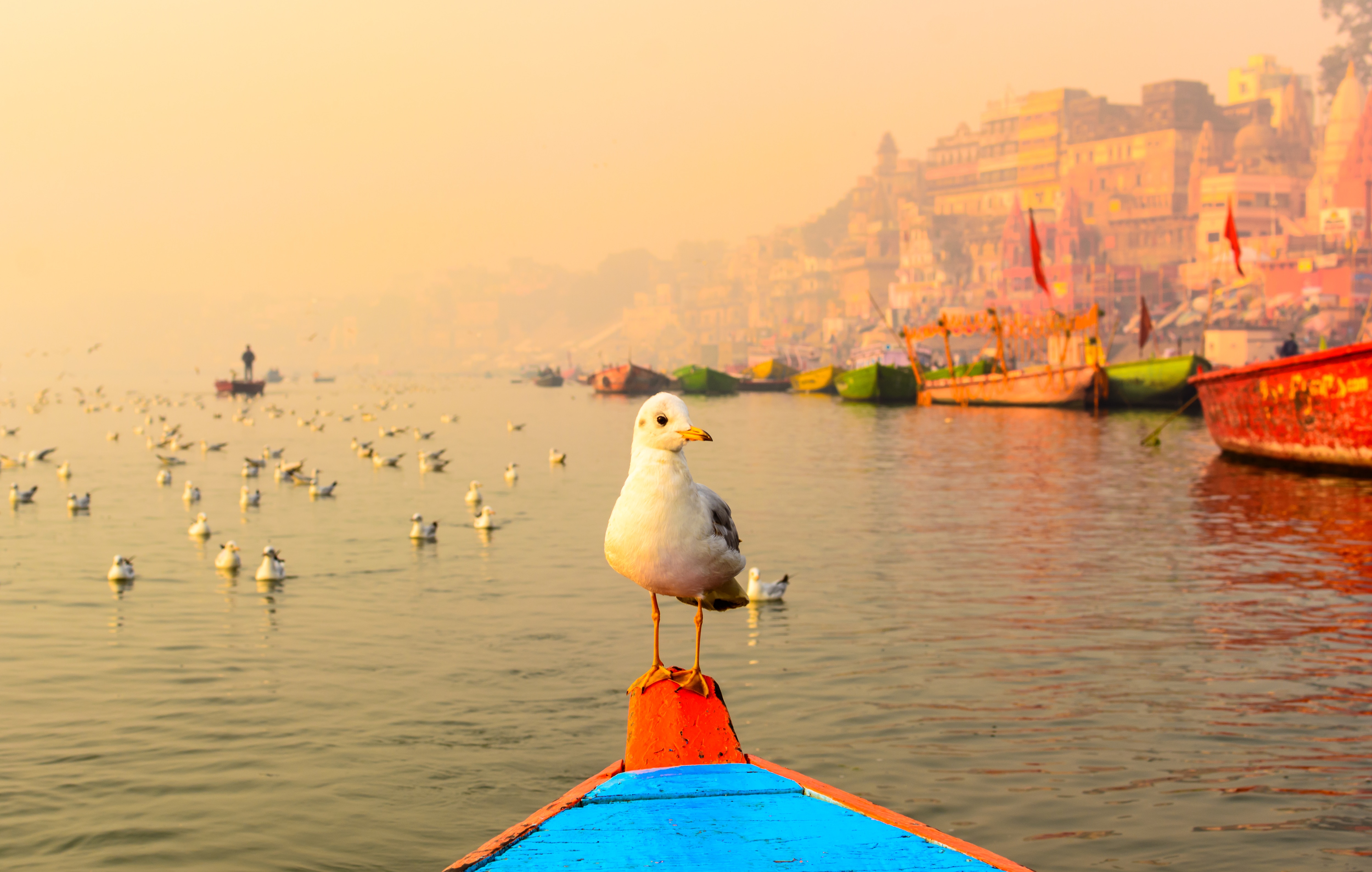 Boat Ride At Vishram Ghat in Mathura Every Detail You Need to Know