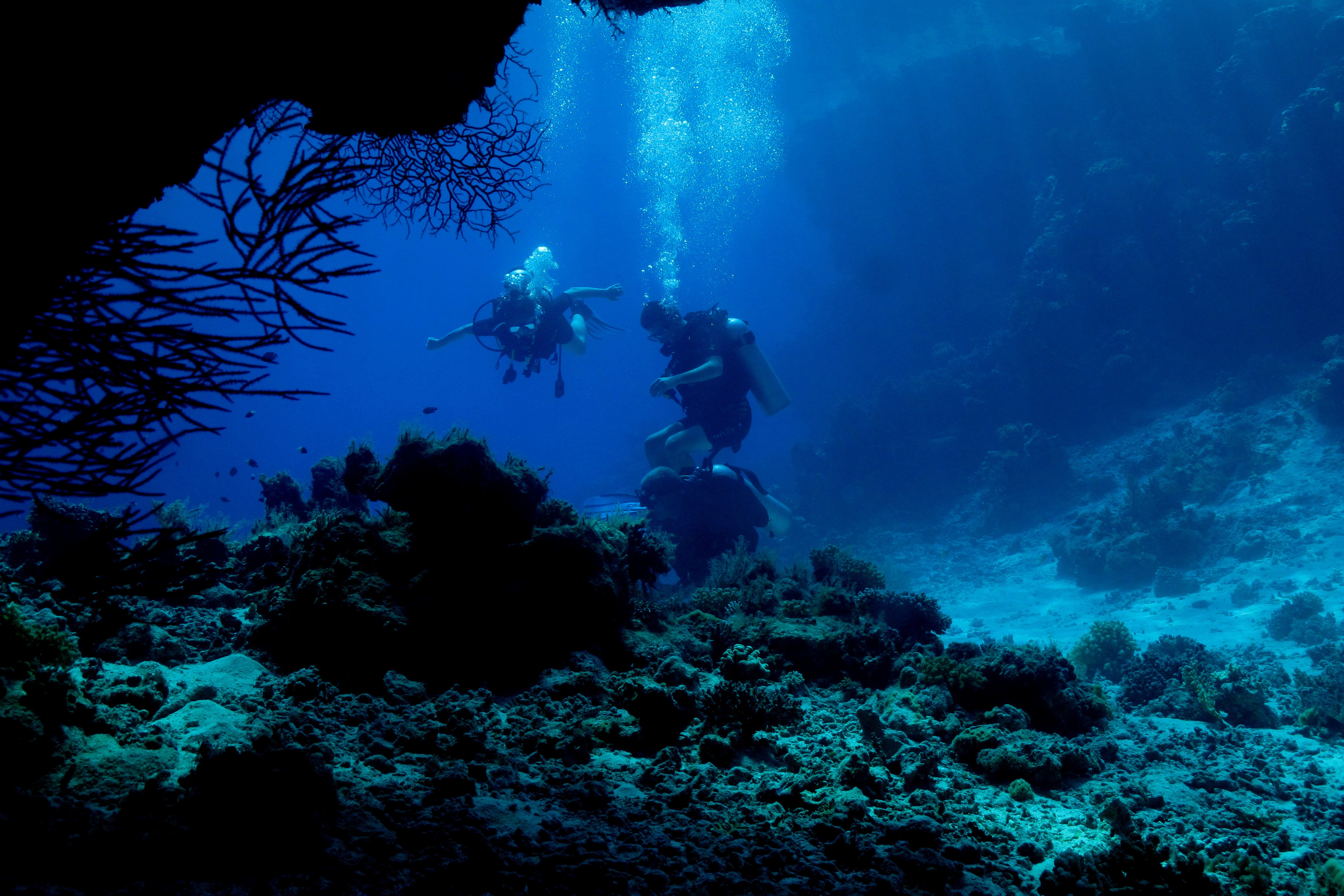 Deep Sea Diving in Dubai - Every Detail You Need to Know - Yatra.com