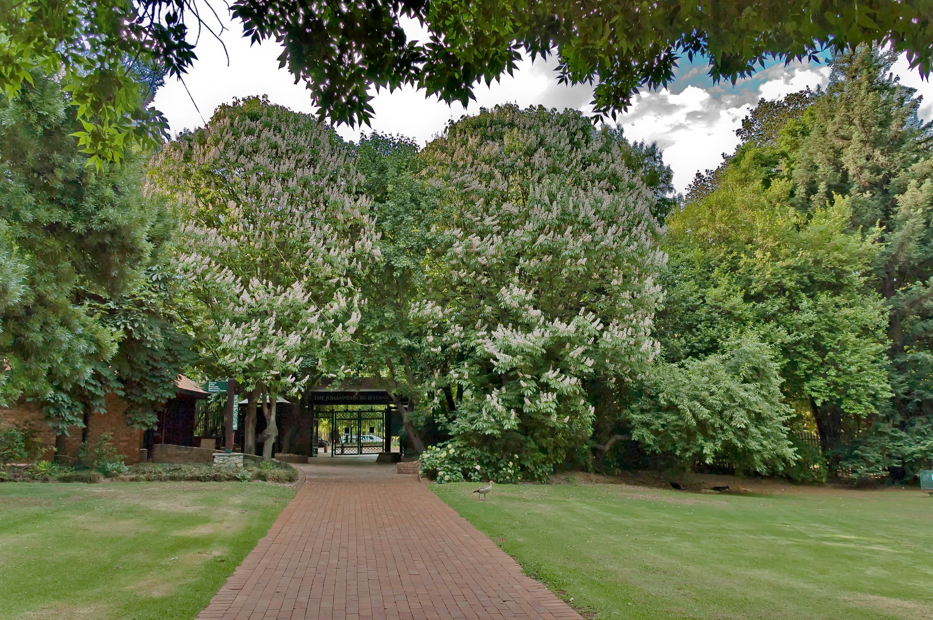 Johannesburg Botanical Garden One of the Top Attractions in Johannesburg, South Africa