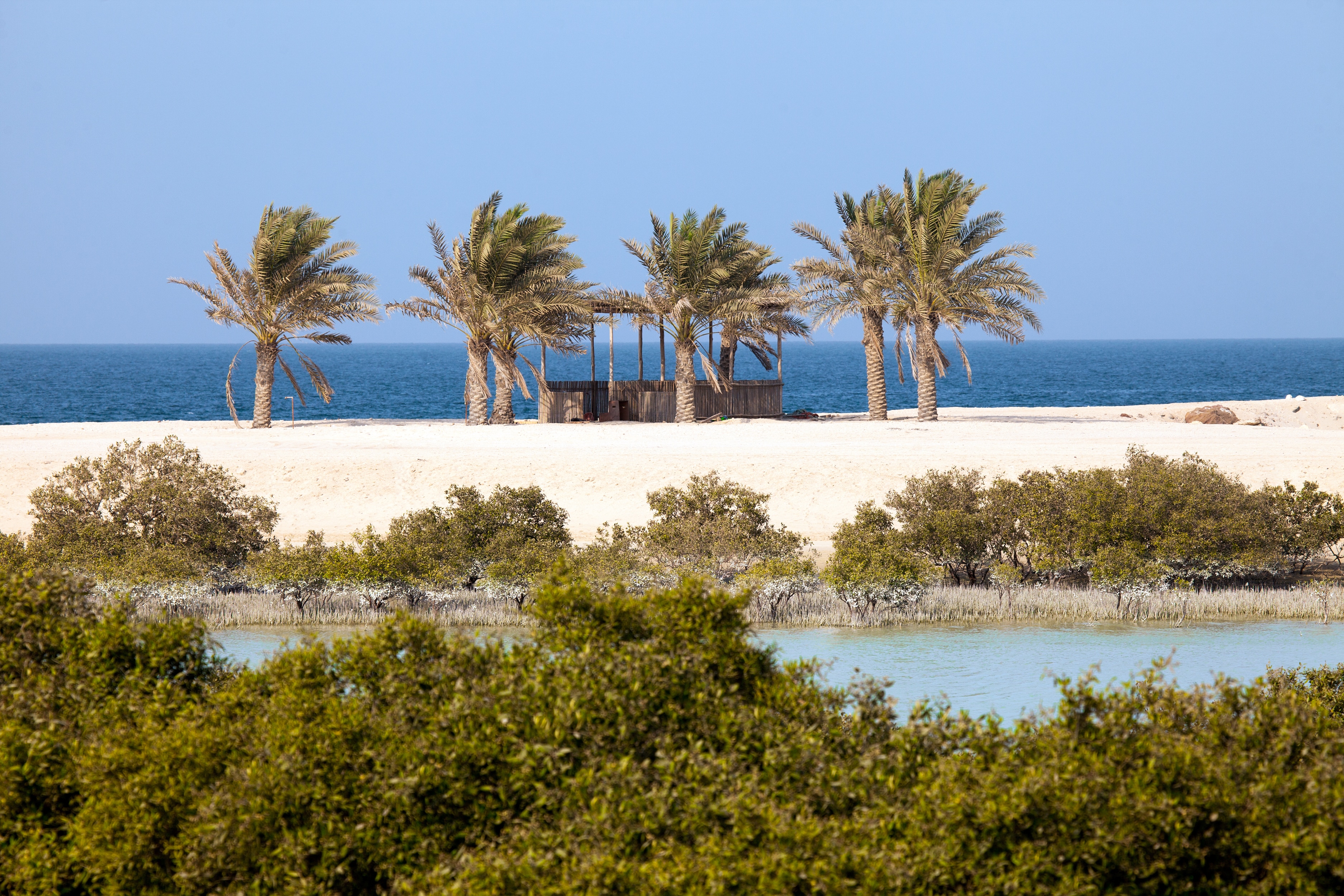 Sir island. Сафари на острове сир бани яс. Остров сир-абу-нуайр. Сир-бани-яс остров. Остров сир-бани-яс оаэ.