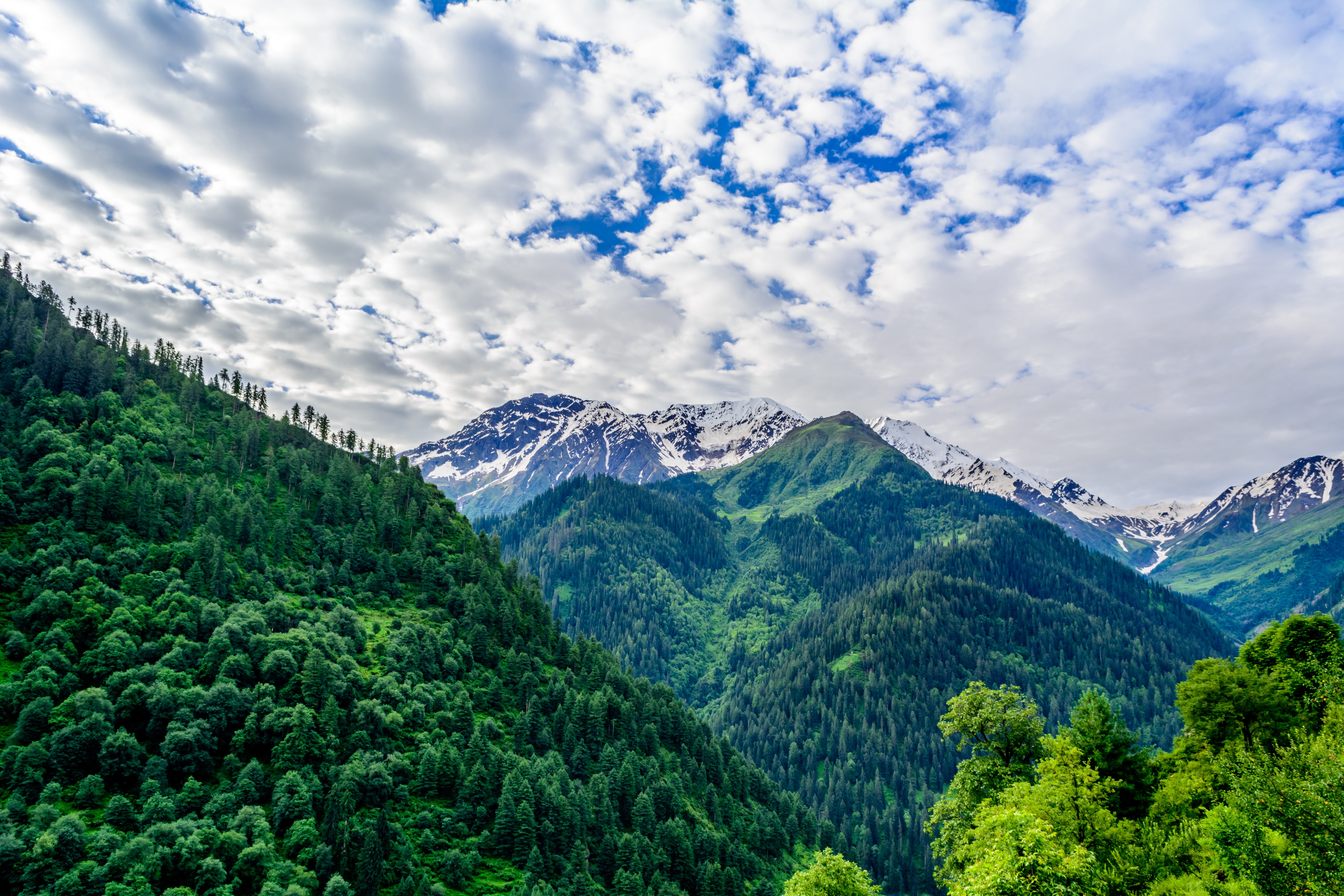 Kasol Holiday Packages