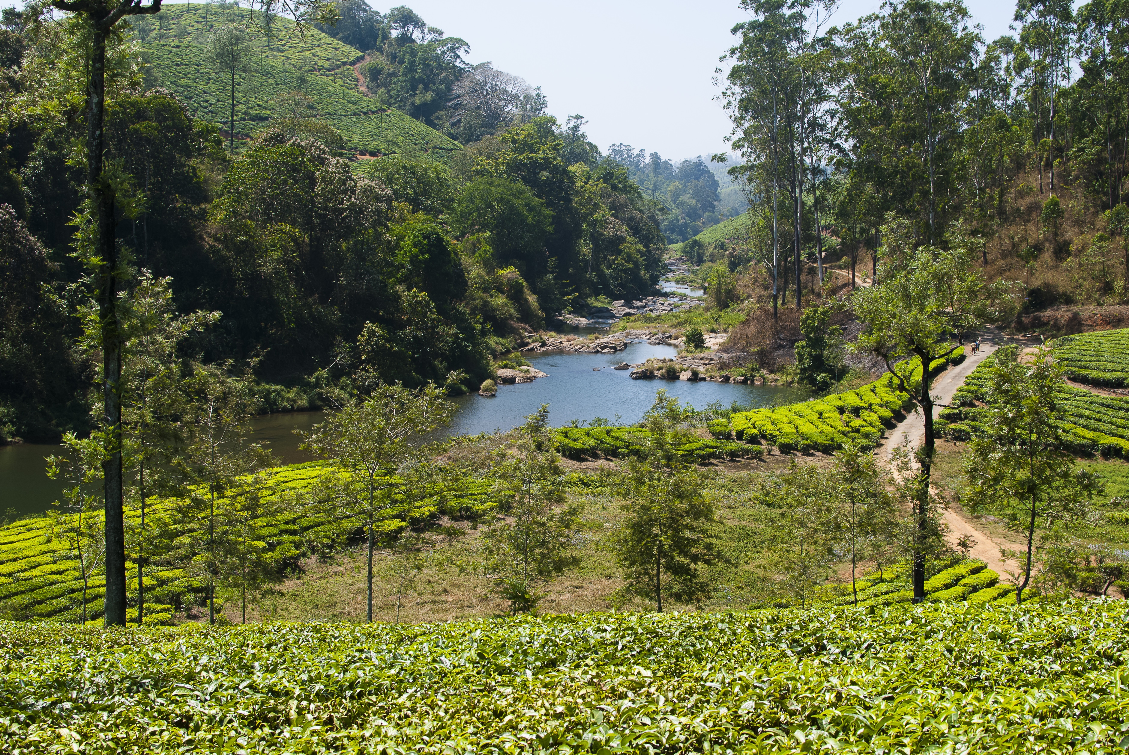 Valparai Holiday Packages