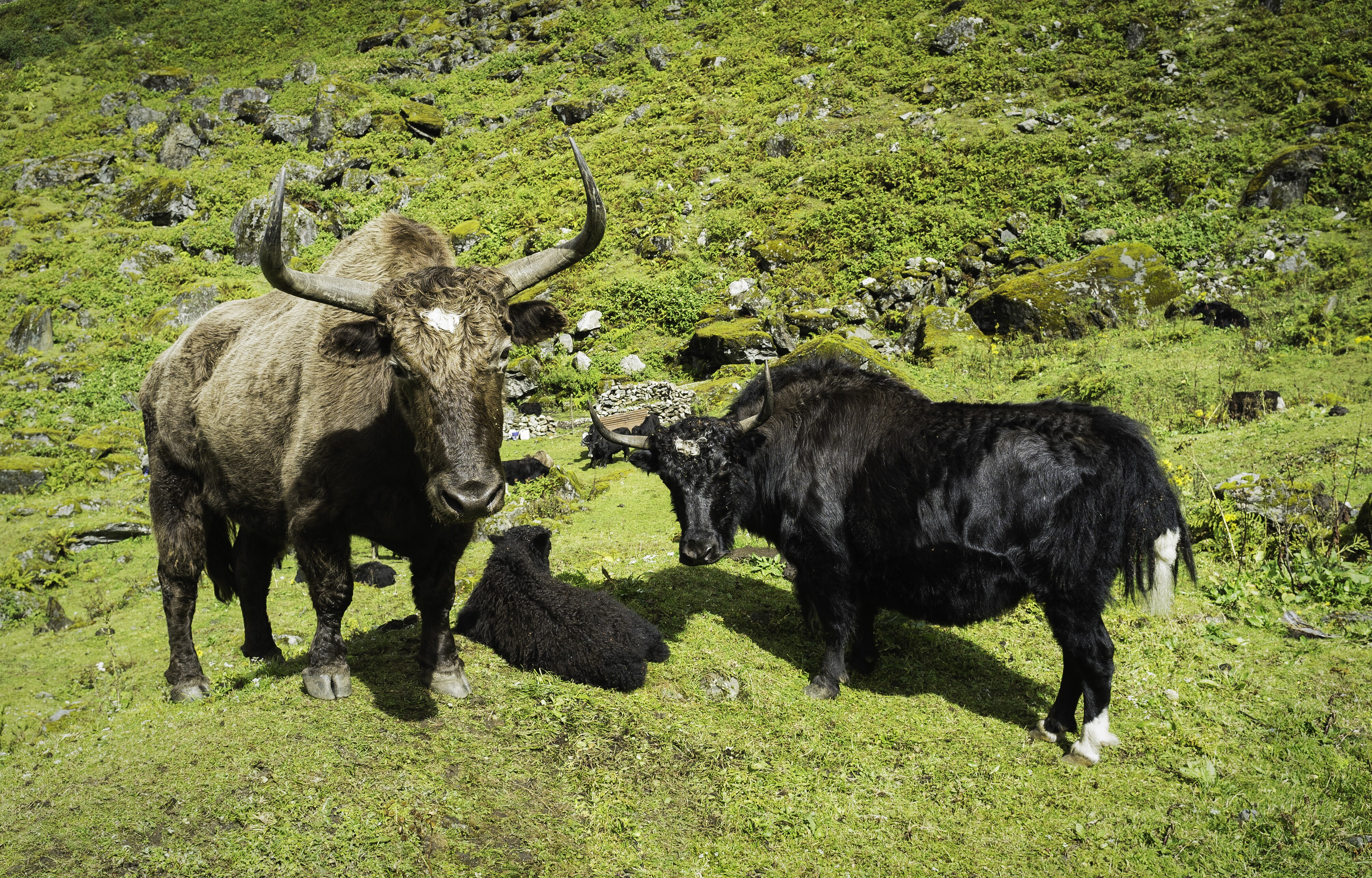 Chander Tour Packages From Kerala - Book Chander Packages From Kerala ...