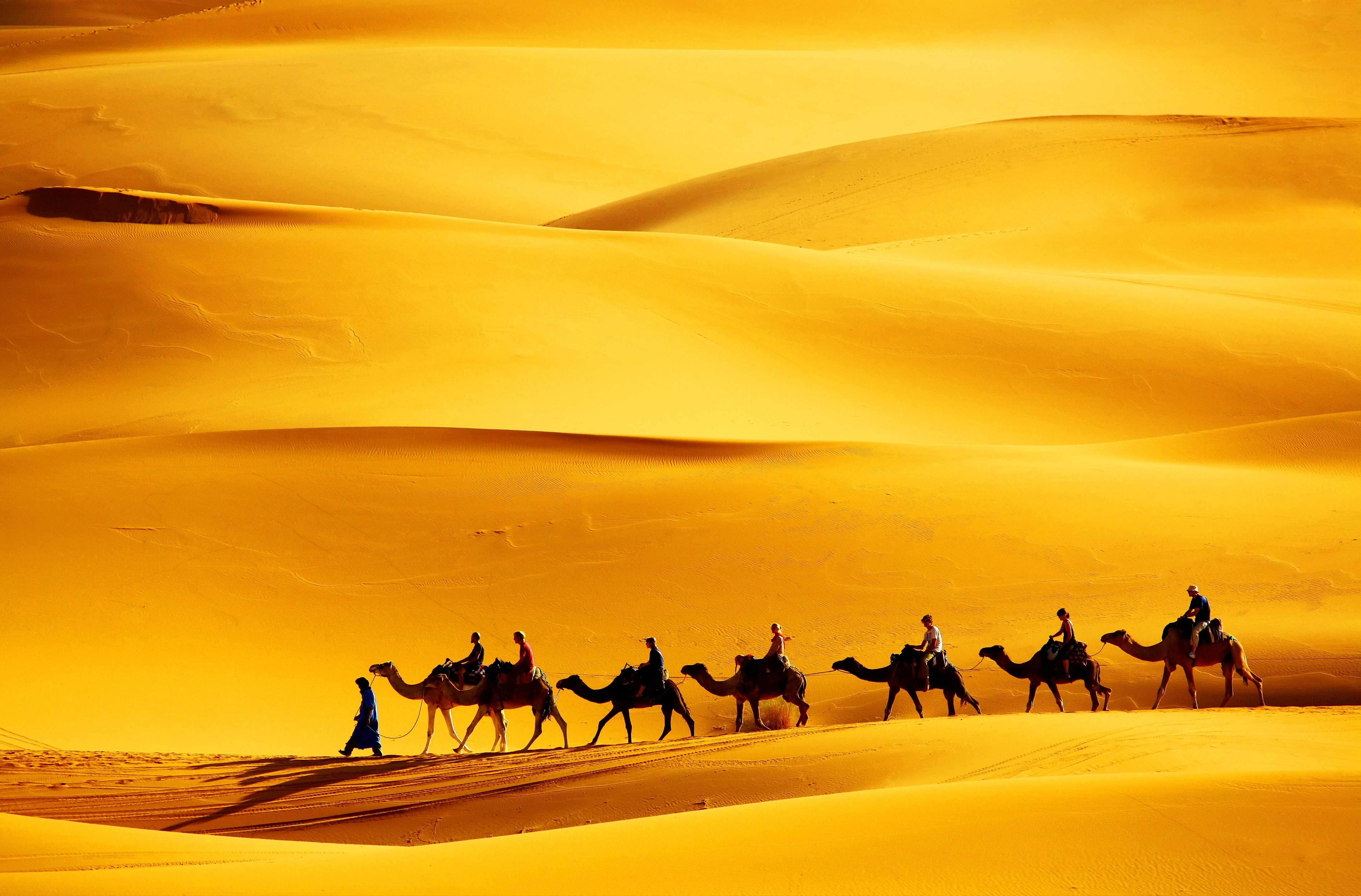 Караван что означает. Пустыня Великий шелковый путь. Караван верблюдов Великого шёлкового пути. Великий шелковый путь Караван. Собаки лают Караван идет.