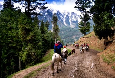Image result for sonmarg sports