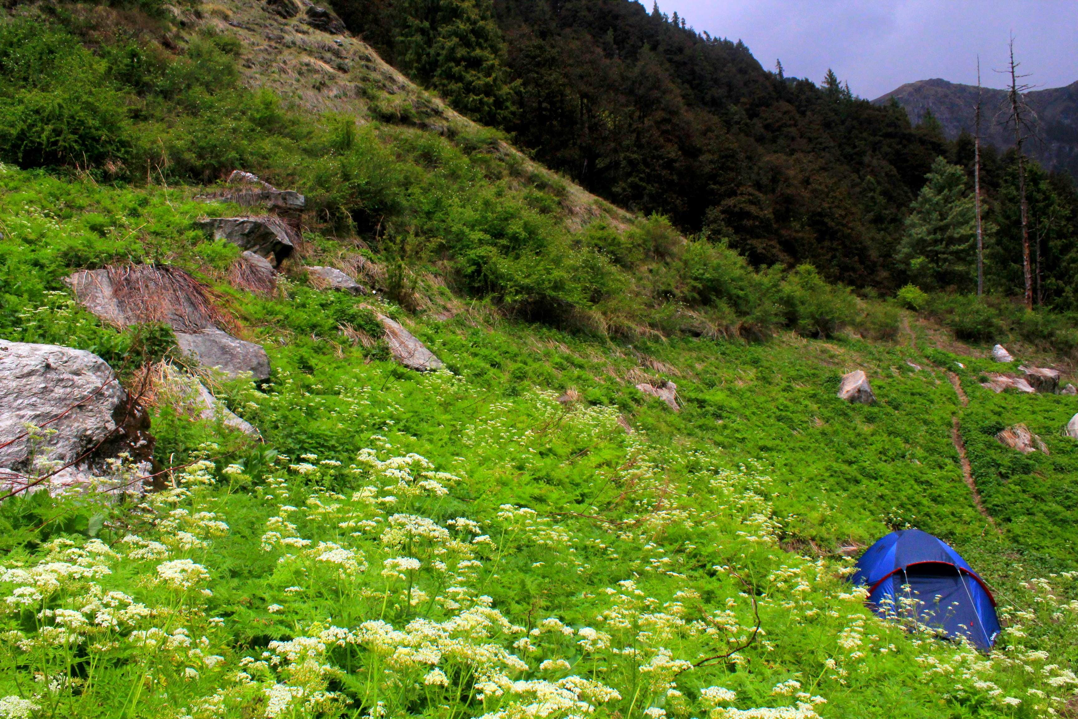 Great Himalayan National Park