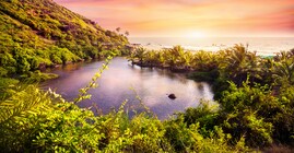 goa