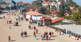 shimla